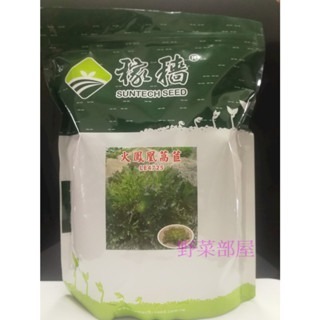 【萌田種子~】B52 火鳳凰萵苣種子0.65公克(約600粒) , 葉形特殊 , 脆 , 口味佳~-細節圖3