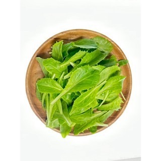 【萌田種子~】B58 冰后結球萵苣種子2.2公克(約1800粒) , 葉邊緣裂葉狀 , 口感脆甜~-細節圖2