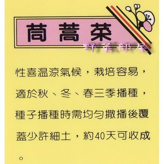 【萌田種子~】C01 茼蒿種子14.5公克(約5000粒) , 火鍋必備蔬菜 , 品質最佳~-細節圖2