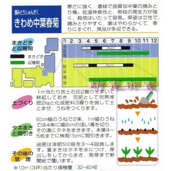 【萌田種子~】C02 日本山茼蒿種子5.2公克(約2300粒) , 又名＂春菊＂ ~-細節圖2