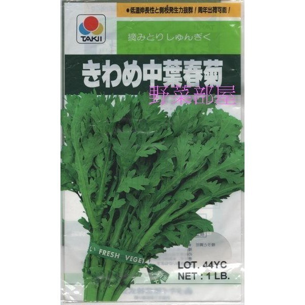 【萌田種子~】C02 日本山茼蒿種子5.2公克(約2300粒) 山冬荷 春菊 冬荷 裂葉茼蒿 昭和草 飛機草~~-細節圖3