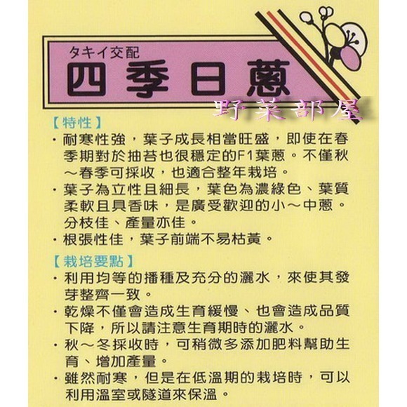 【萌田種子~】D02 日本四季日蔥種子0.6公克(約300粒) , ＂三星蔥＂~-細節圖2