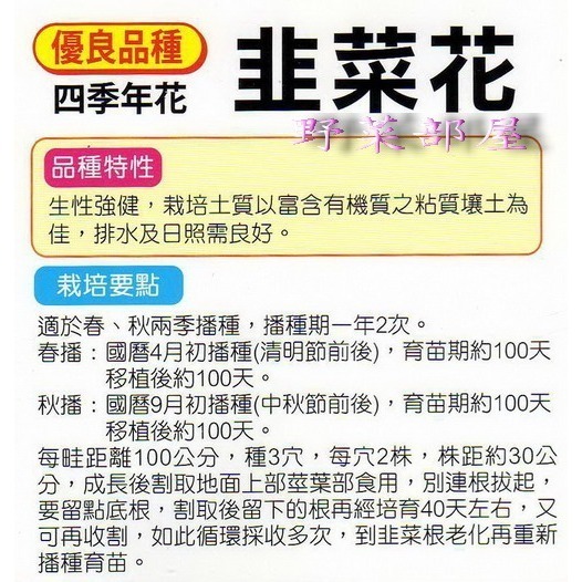 【萌田種子~】D05 韭菜花種子0.35公克(約80粒) ,甜度高 ,香味濃~-細節圖2