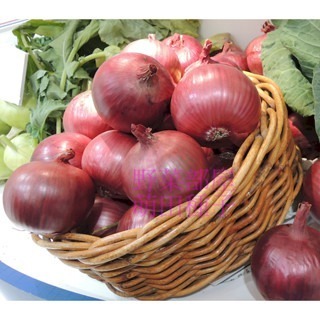 【萌田種子~】D10 美國紅皮美樂洋蔥種子0.42公克(約120粒) , 顏色紅皮鮮艷，有甜味~-細節圖2