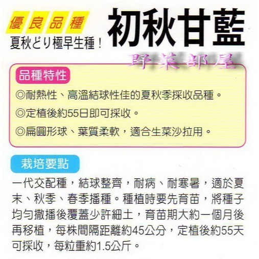 【萌田種子~】E01 初秋高麗菜種子0.55公克(約100粒) , 梨山高麗菜~-細節圖3