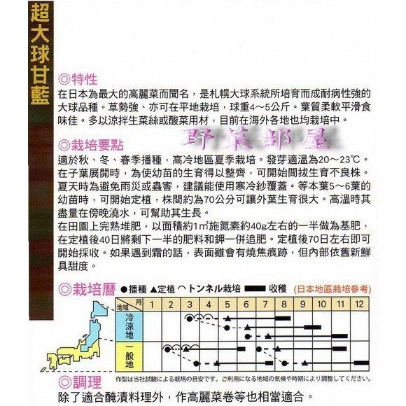 【萌田種子~】E04 日本超大球高麗菜種子0.35公克 (約80粒) , 口味佳~-細節圖2