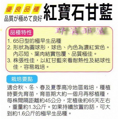 【萌田種子~】E05 紅寶石高麗菜種子0.3公克 ( 約60粒) , 紫紅色高麗菜~-細節圖2