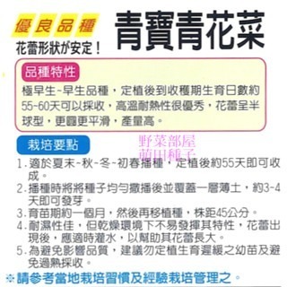 【萌田種子~】E08 青寶青花菜種子0.13公克(約30粒) , 極早生 , 耐熱 , 產量高~-細節圖2
