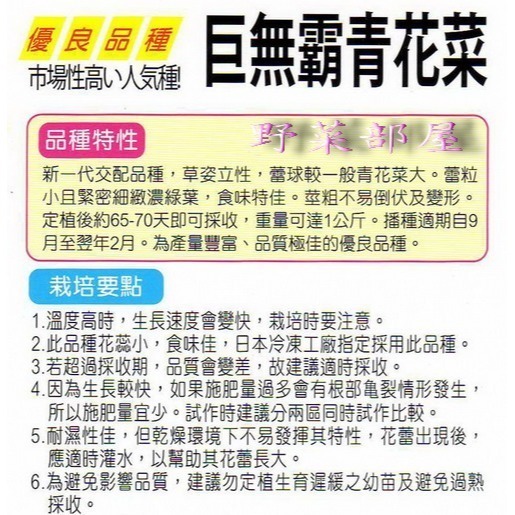 【萌田種子~】E09 巨無霸青花菜種子0.22公克 (約40粒) , 營養價值高~-細節圖2