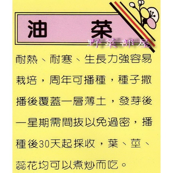 【萌田種子~】E12 油菜種子22.5公克 (約8000粒),葉 , 莖 , 蕊花均可食用~-細節圖2