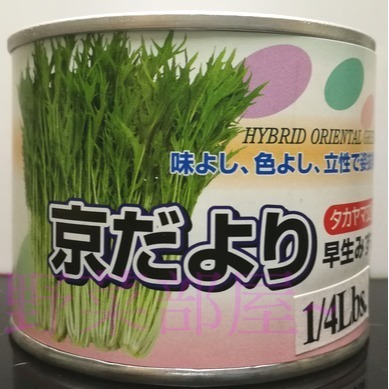 【萌田種子~】E14 早生京水菜種子1.3公克 (約600粒) , 食用清香爽口~-細節圖3