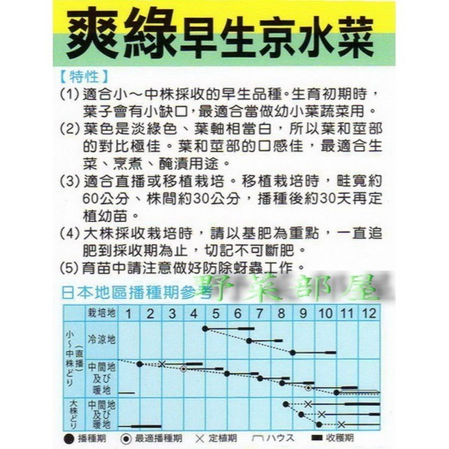 【萌田種子~】E14 早生京水菜種子1.3公克 (約600粒) , 食用清香爽口~-細節圖5