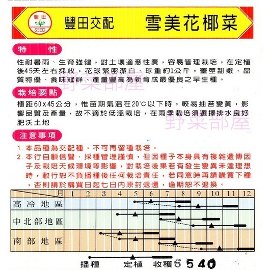 【萌田種子~】E17 雪美早熟白花椰菜種子0.15公克(約30粒) , 特耐暑雨，生長強健~-細節圖2