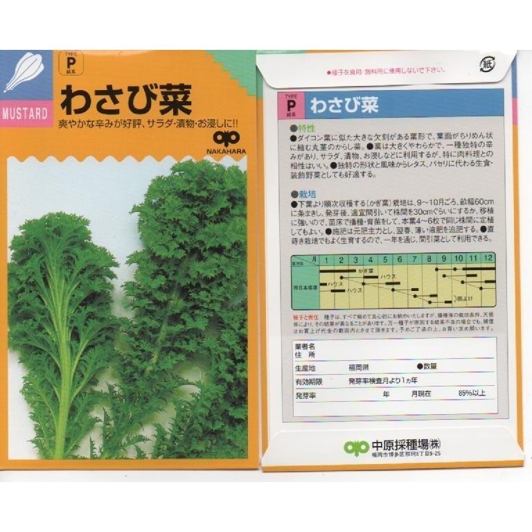 【萌田種子~】E41 日本山葵菜種子1.3公克 (約700粒) , 受好評的品種 , 些許辛辣味~-細節圖3