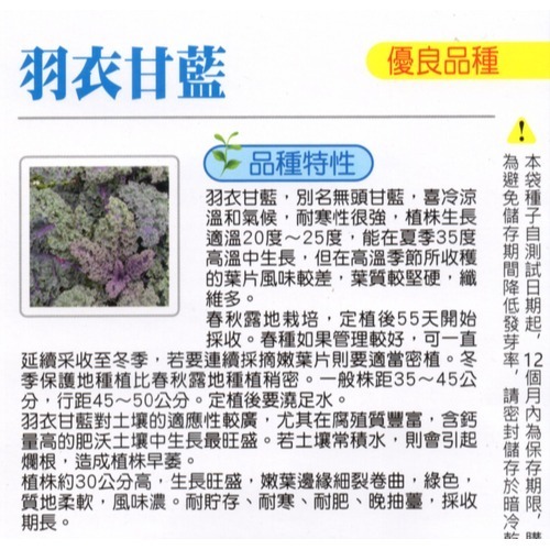 【萌田種子~】E50 羽衣甘藍種子0.7公克(約250粒) , 風味濃 , 採收期長~-細節圖2