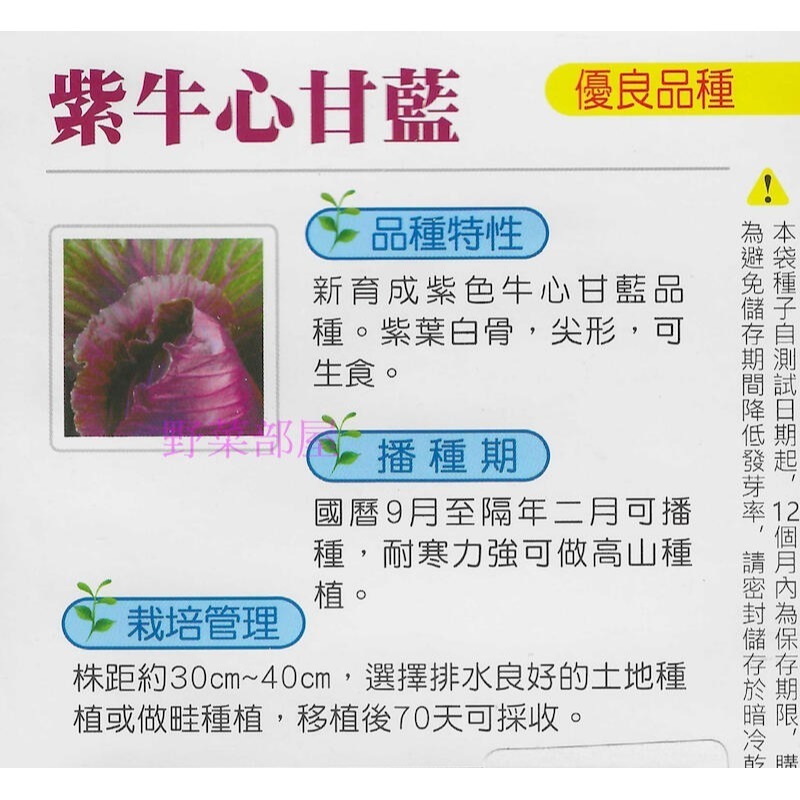 【萌田種子】E74 紫牛心甘藍種子10顆 , 紫色尖型高麗菜 , 可生食品種~-細節圖2