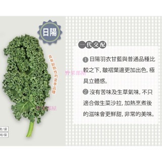 【萌田種子~】E79 日陽羽衣甘藍種子6粒 , F1種子 ,  具耐熱性 , 皺褶更出色~-細節圖3