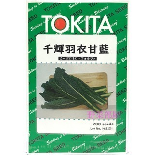 【萌田種子~】E80 千輝羽衣甘藍種子5粒 , F1種子 , 抗病力強~-細節圖2