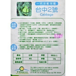 【萌田種子~】E81 台中二號高麗菜種子10粒 , 台中2號甘藍 , 耐熱 , 全年可種植~-細節圖2