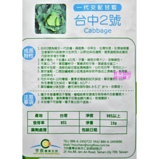 【萌田種子~】E81 台中二號高麗菜種子10粒 , 台中2號甘藍 , 耐熱 , 全年可種植~-細節圖2