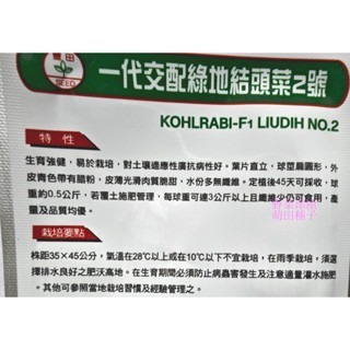 【萌田種子~】E83 綠地結頭菜2號種子15粒 , 直立性優 , 抗鐮孢菌~-細節圖2