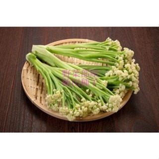 【萌田種子~】E87 玉冠白花菜筍種子8粒 , 白花筍 , 耐熱 , 產量高~-細節圖4