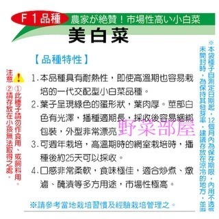 【萌田種子~】F02 美白菜種子2.3公克(約850粒) , 具耐熱性 , 葉肉厚 , 外型佳~-細節圖2