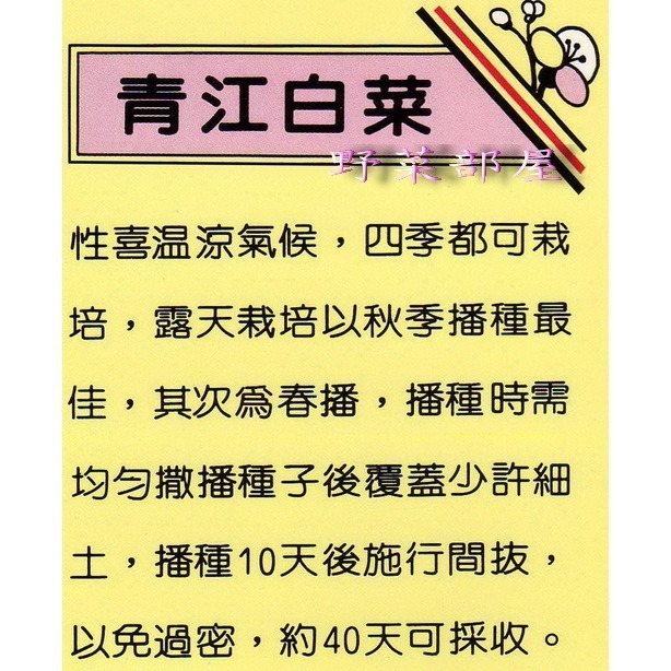 【 萌田種子~】F03 青江白菜種子22公克(約9000粒) , 青梗湯齒形~-細節圖2