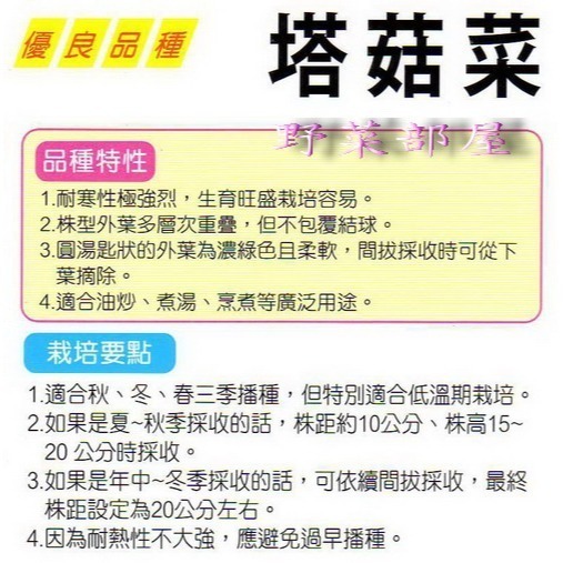 【萌田種子~】F05 塔菇菜種子2.4公克(約1000粒) , 蹋棵菜 , 綠珍菜~-細節圖2