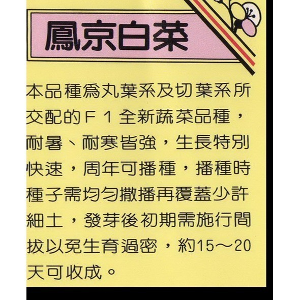 【萌田種子~】F07 鳳京白菜種子3.7公克(約1000粒) , 生長特別快速 ,易種植~-細節圖2