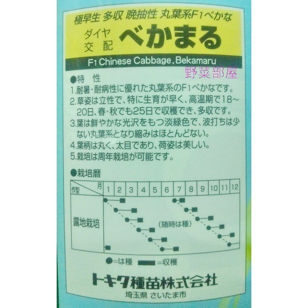 【萌田種子~】F07 鳳京白菜種子3.7公克(約1000粒) , 生長特別快速 ,易種植~-細節圖4