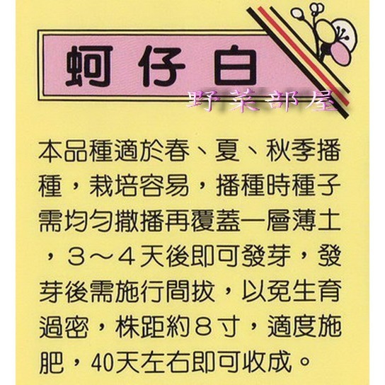 【 萌田種子~】F08 日本蚵仔白種子1.3公克(約450粒) , 評價高 , 口感極佳~-細節圖2