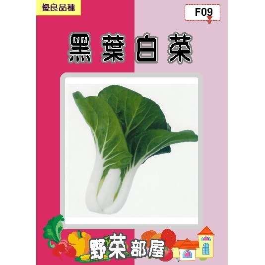 【萌田種子~】F09 日本黑葉白菜種子2.5公克(約1000粒) , 奶油白菜 , 葉片柔嫩~-細節圖2