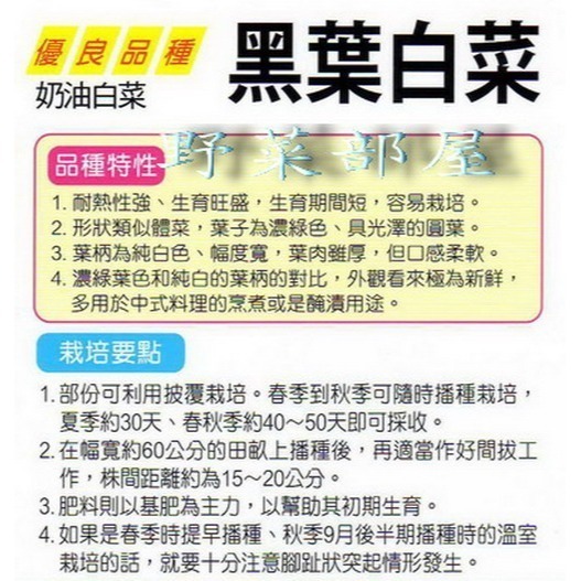 【萌田種子~】F09 日本黑葉白菜種子2.5公克(約1000粒) , 奶油白菜 , 葉片柔嫩~-細節圖3