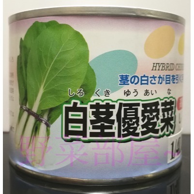 【 萌田種子~】F11 日本白莖優愛菜種子2.2公克(約800粒) , 口感佳~-細節圖3