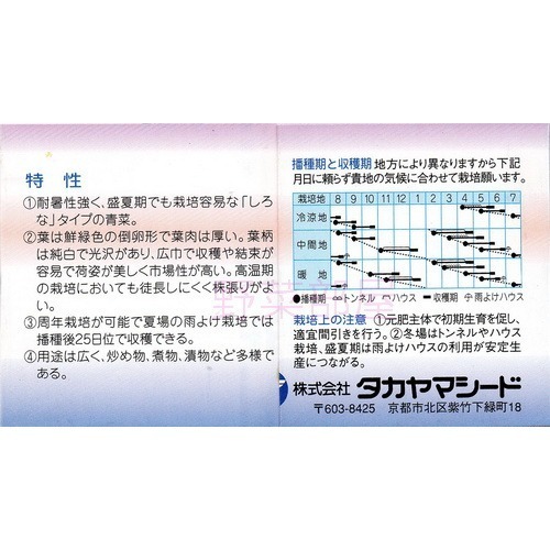 【 萌田種子~】F11 日本白莖優愛菜種子2.2公克(約800粒) , 口感佳~-細節圖4