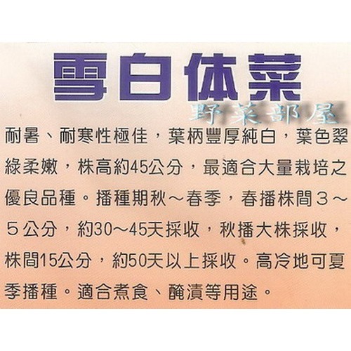 【 萌田種子~】F13 日本雪白体菜種子5.3公克(約2500粒) , 全年皆可種植~-細節圖2