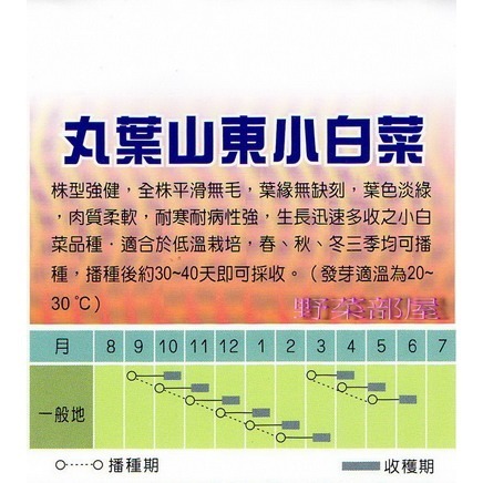 【萌田種子~】F14 日本丸葉小白菜種子13.8公克(約4000粒) , 全株平滑無毛~-細節圖2