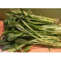 【萌田種子~】F16 日本壬生菜種子1.8公克(約700粒) ,生長強勢 ,分枝性強 ,味道鮮美~-細節圖2