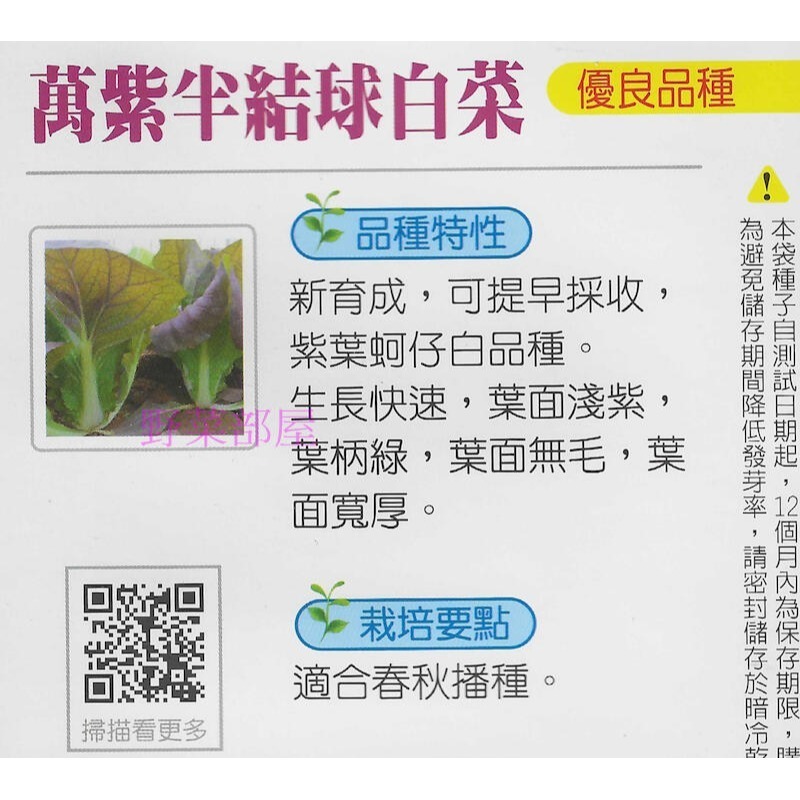 【萌田種子】F17 萬紫半結球白菜種子1.7公克(約750顆) , 紫色蚵仔白,生長快,葉面寬厚~-細節圖2