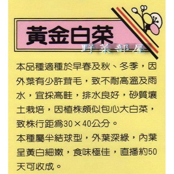 【萌田種子~】F19 黃金白菜種子3.6公克 (約1000粒), 食味極佳~-細節圖2