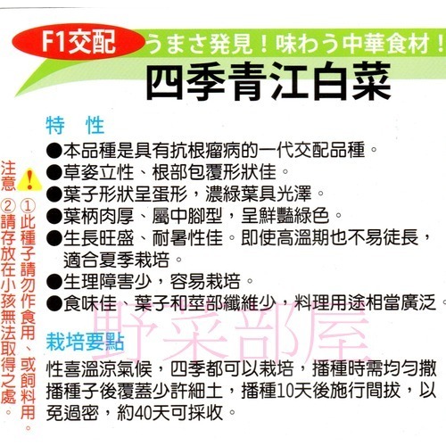 【萌田種子~】F25 日本四季青江菜種子2.9公克(約800粒), 耐熱性強 , 採收快~-細節圖2