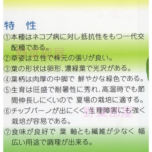 【萌田種子~】(出清價)F27 夏專科青江菜種子2.6公克(約800粒) , 耐熱性強 , 採收快~-細節圖2