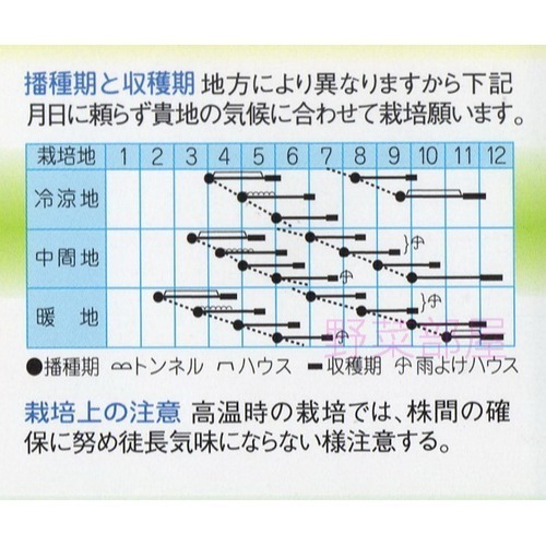 【萌田種子~】(出清價)F27 夏專科青江菜種子2.6公克(約800粒) , 耐熱性強 , 採收快~-細節圖3