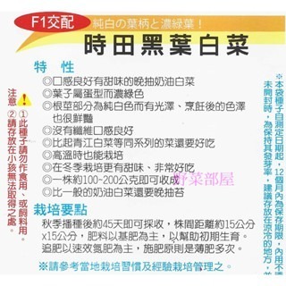 【萌田種子~】F40 時田黑葉白菜種子0.7公克(約250粒) , 晚抽苔 , 口感佳~-細節圖2