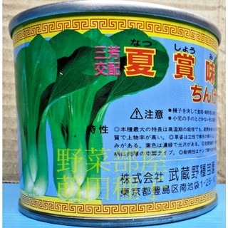 【萌田種子~】F42 夏賞味青江菜種子2.5公克(約750粒) , 耐熱、耐雨性強~-細節圖2