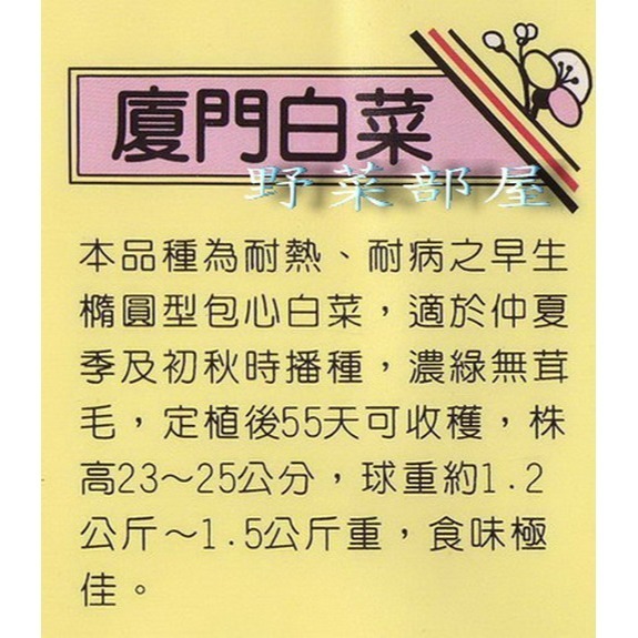 【萌田種子~】G01 日本廈門白菜種子0.52公克(約200粒) , 俗稱＂殼仔＂ ,耐熱大白菜~-細節圖2