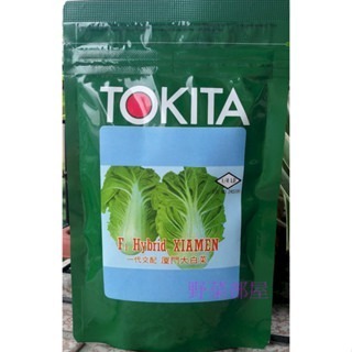 【萌田種子~】G01 日本廈門白菜種子0.52公克(約200粒) , 俗稱＂殼仔＂ ,耐熱大白菜~-細節圖3