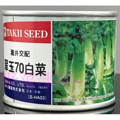 【萌田種子~】G02 日本天津白菜種子0.65公克(約200粒) , 長型竹筍白菜~-細節圖4