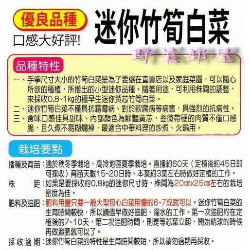 【萌田種子~】G03 日本迷你竹筍白菜種子0.27公克(約100粒) , 甜味佳~-細節圖2